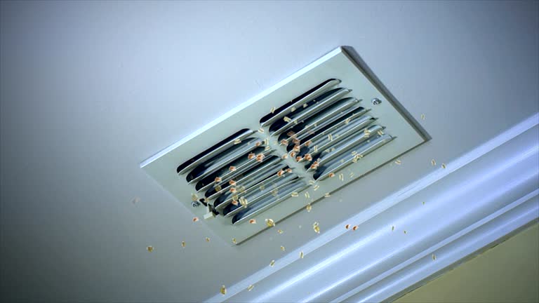 Best Ductwork Cleaning Services  in Gallatin, TN